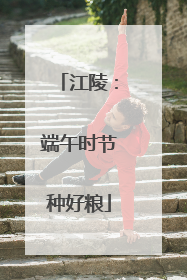 江陵：端午时节种好粮