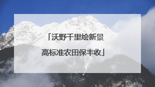 沃野千里绘新景 高标准农田保丰收