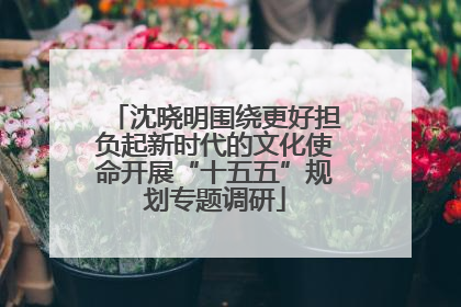 沈晓明围绕更好担负起新时代的文化使命开展“十五五”规划专题调研
