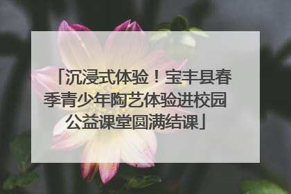 沉浸式体验！宝丰县春季青少年陶艺体验进校园公益课堂圆满结课