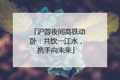 沪蓉夜间高铁动卧：共饮一江水，携手向未来
