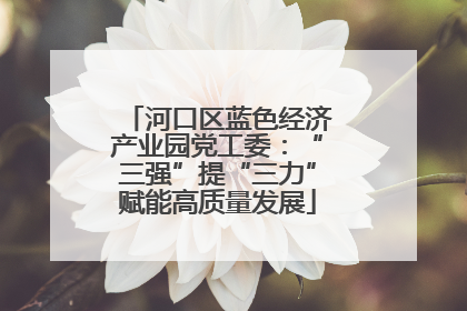 河口区蓝色经济产业园党工委：“三强”提“三力”赋能高质量发展