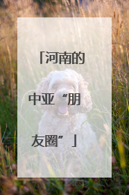 河南的中亚“朋友圈”