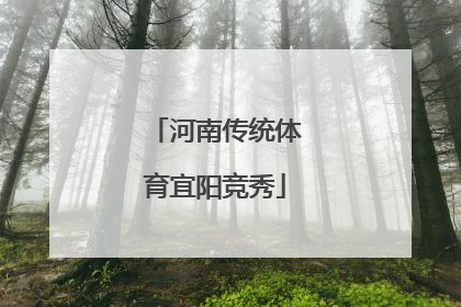 河南传统体育宜阳竞秀