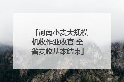 河南小麦大规模机收作业收官 全省麦收基本结束