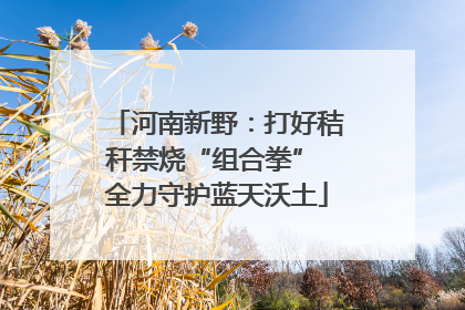 河南新野：打好秸秆禁烧“组合拳” 全力守护蓝天沃土