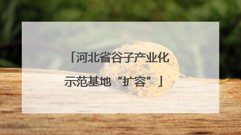 河北省谷子产业化示范基地“扩容”
