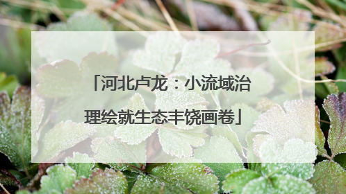 河北卢龙：小流域治理绘就生态丰饶画卷