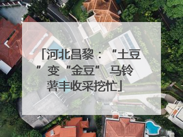 河北昌黎：“土豆”变“金豆” 马铃薯丰收采挖忙