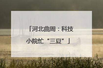 河北曲周：科技小院忙“三夏”
