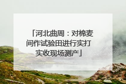 河北曲周：对棉麦间作试验田进行实打实收现场测产