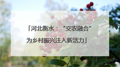 河北衡水：“交农融合”为乡村振兴注入新活力