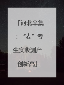 河北辛集：“麦”考生实收测产创新高