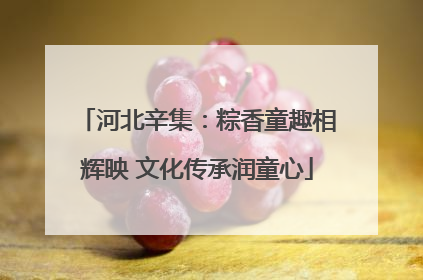 河北辛集：粽香童趣相辉映 文化传承润童心
