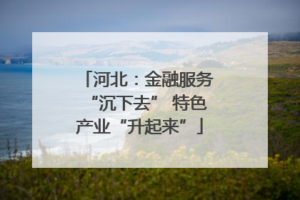 河北：金融服务“沉下去” 特色产业“升起来”