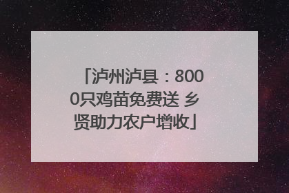 泸州泸县：8000只鸡苗免费送 乡贤助力农户增收