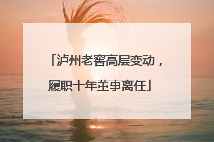 泸州老窖高层变动，履职十年董事离任