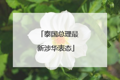 泰国总理最新涉华表态
