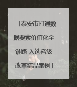 泰安市打通数据要素价值化全链路 入选省级改革精品案例
