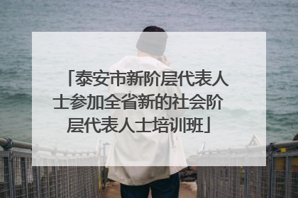 泰安市新阶层代表人士参加全省新的社会阶层代表人士培训班