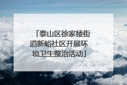 泰山区徐家楼街道新峪社区开展环境卫生整治活动