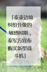 泰柬边境纠纷升级的敏感时期，泰军方宣布购买新型战斗机