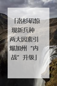 洛杉矶惊现新兵种 两大因素引爆加州“内战”升级