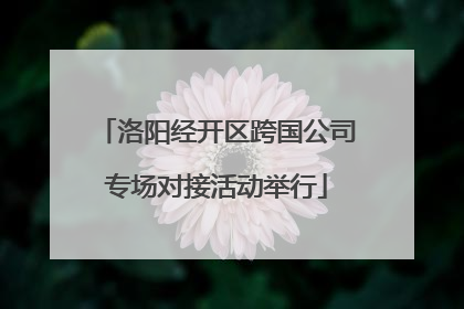洛阳经开区跨国公司专场对接活动举行