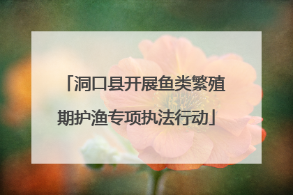 洞口县开展鱼类繁殖期护渔专项执法行动