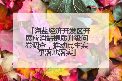 海盐经济开发区开展应消站提质升级问卷调查，推动民生实事落地落实
