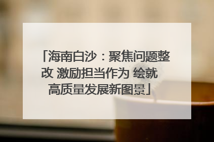 海南白沙：聚焦问题整改 激励担当作为 绘就高质量发展新图景