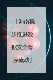 海南稳步推进数据安全有序流动