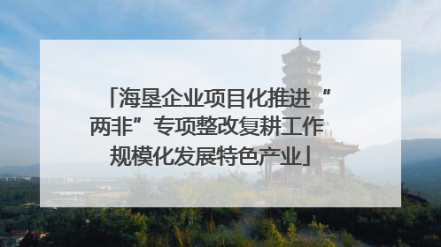 海垦企业项目化推进“两非”专项整改复耕工作 规模化发展特色产业
