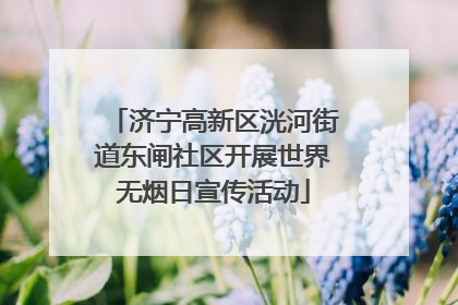 济宁高新区洸河街道东闸社区开展世界无烟日宣传活动