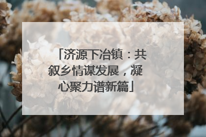 济源下冶镇：共叙乡情谋发展，凝心聚力谱新篇