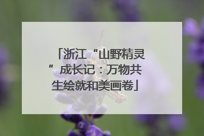 浙江“山野精灵”成长记：万物共生绘就和美画卷