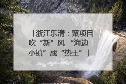 浙江乐清：聚项目吹“新”风 “海边小镇”成“热土”