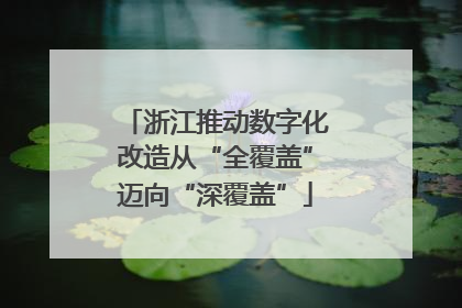 浙江推动数字化改造从“全覆盖”迈向“深覆盖”
