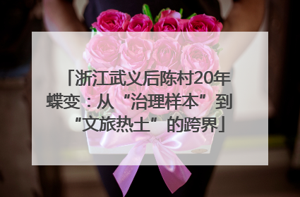 浙江武义后陈村20年蝶变：从“治理样本”到“文旅热土”的跨界