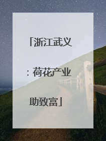 浙江武义：荷花产业助致富