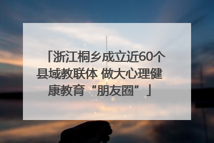 浙江桐乡成立近60个县域教联体 做大心理健康教育“朋友圈”
