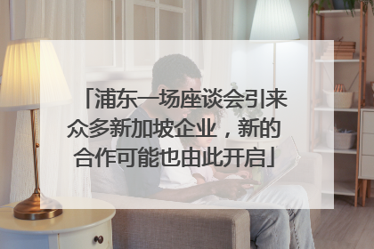浦东一场座谈会引来众多新加坡企业，新的合作可能也由此开启