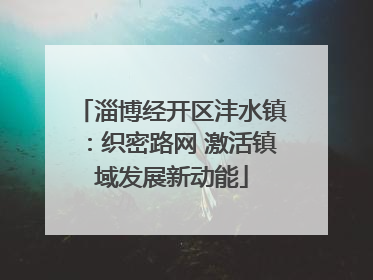 淄博经开区沣水镇：织密路网 激活镇域发展新动能