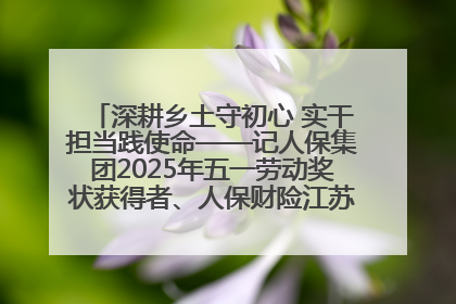 深耕乡土守初心 实干担当践使命——记人保集团2025年五一劳动奖状获得者、人保财险江苏南通海安支公司