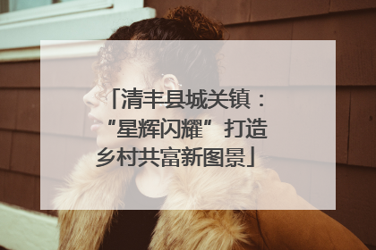 清丰县城关镇：“星辉闪耀”打造乡村共富新图景