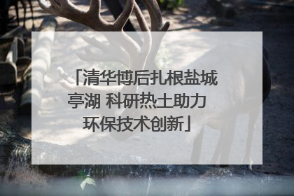 清华博后扎根盐城亭湖 科研热土助力环保技术创新