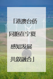 港澳台侨同胞在宁夏感知发展 共叙融合