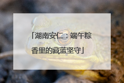 湖南安仁：端午粽香里的藏蓝坚守