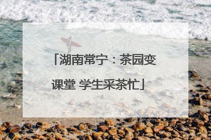 湖南常宁：茶园变课堂 学生采茶忙