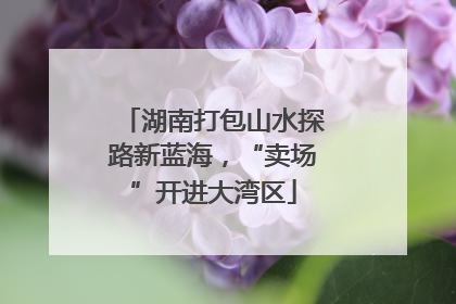 湖南打包山水探路新蓝海，“卖场”开进大湾区